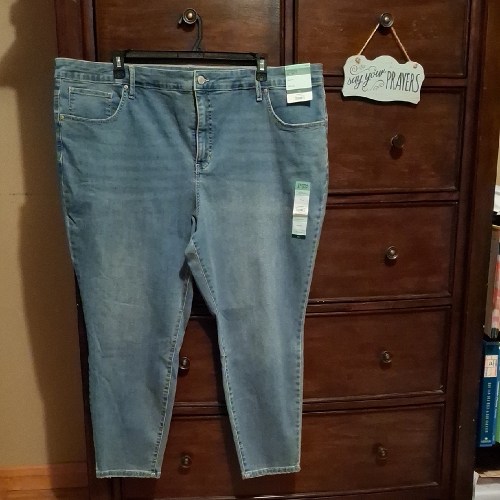 Terra & Sky Light Blue Ankle Jeans